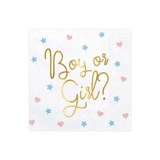 Picture of GENDER REVEAL NAPKINS 33x33CM - 20 PACK